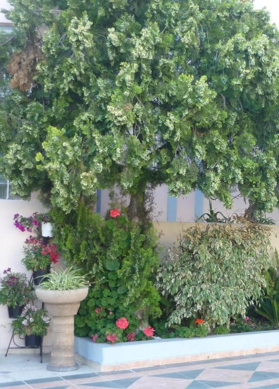 Rainbow Hotel Rhodes City Buitenkant foto